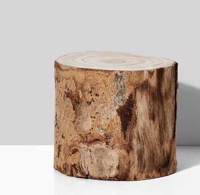 Wood Tree Trunk 7"